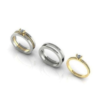 double ring model 2890 earrings kolco sergi dlya pechati 3dmodel printable sterling fashion silver engagem platinum jewellery engagement jewel jewelry rings missfox 3d print model - Mito3D