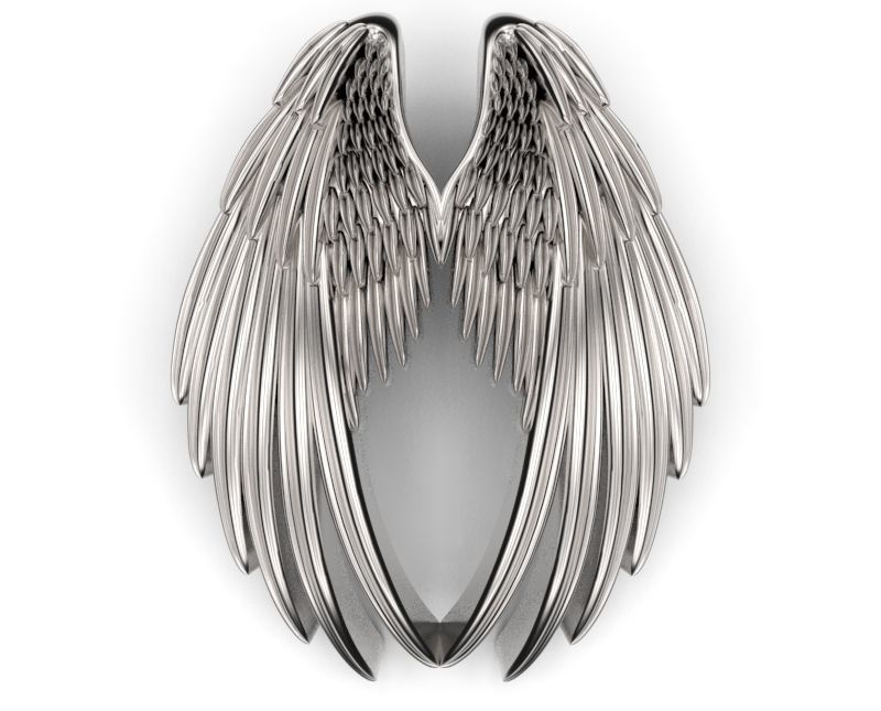 double wings pendant jewelry pendants detailed designer unique 3D print model - Mito3D