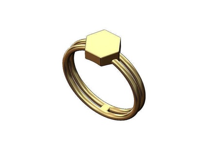 double wire hexagonal simple signet ring us sizes 5to9 coin engravable jewelry printable gold silver engraving initals fashion 3d model rings 3d print model - Mito3D