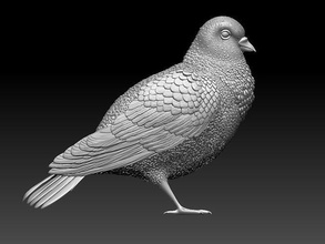 güvercin kuş yüksek Yazdır heykel poli iç Sanat heykeller 3d print model - Mito3D