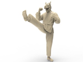 dragon kick karate action figure actionfigure character martial super hero human hybird fight toy toys print printable statue punch art sculptures 3d print model - Mito3D