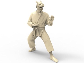 dragão kokutsu dachi posição a arte postura karate ação figura actionfigure o personagem marcial super herói humanos hybird luta brinquedo brinquedos imprimir printable soco esculturas 3d print model - Mito3D