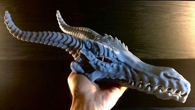 ejderha kafatası pre supported stl sürüngen dinozor kertenkele tarih öncesi paleontoloji diş canavar yaratık nesli tükenmiş yırtıcı fantezi kurgusal doğa bilim biyoloji sanat heykeller 3d print model - Mito3D