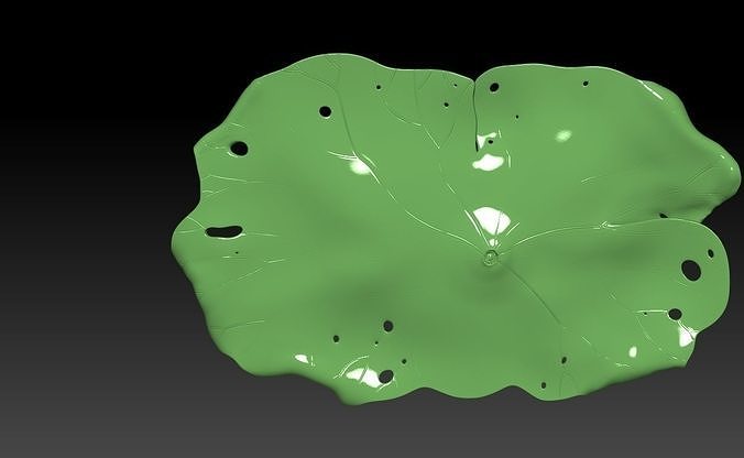 séché lotus feuille décor maison 3D print model - Mito3D