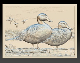 anatre di fiume - soccorso 2017 anatra bird la fauna acqua scenario immagine scena bassorilievo natura art scultura sculture 3d print model - Mito3D