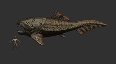 Dunklerosteus Tier uralt Fisch Devonian Paläontologie Spiele Spielzeuge 3d print model - Mito3D