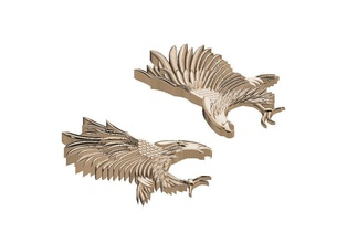 eagle jewelry bird fly wing predator falcon feather pendants 3d print model - Mito3D