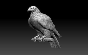 eagle bird bird eagle hawk falcon print statue sculpture art sculptures