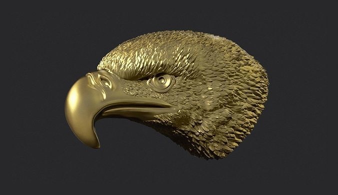 Adler Kopf Vogel Natur Falke Jagd Feder Raubtier Tier amerikanisch druckbar Flügel golden Juwel wild Schmuck Kunst Skulpturen 3D print model - Mito3D