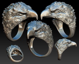 eagle ring jewelry eaglehead bird eaglering mensring beak feather wing realstic animals fly sky rings natgeo falcon nature hunt usa 3d print model - Mito3D