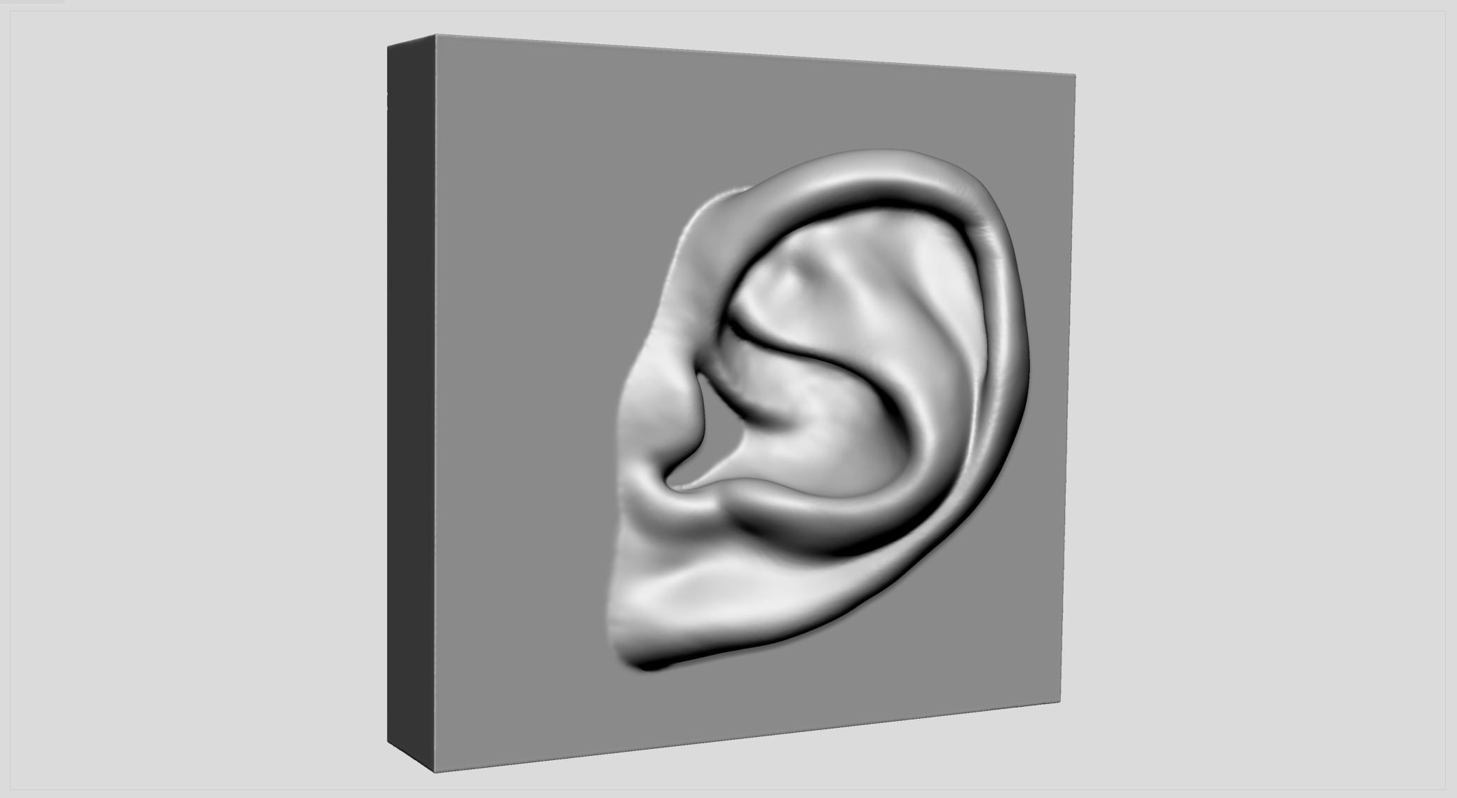 ear printable characters people human man male anatomy 3dprint art sculptures 3D print model - Mito3D
