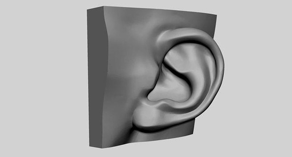 ear printable v2 characters head face anatomy 3dprint human people zbrush character art sculptures 3d print model - Mito3D