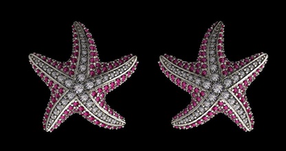 earrings jewelry starfish gold silver jewelery sea ocean diamond treasure 3d print model - Mito3D