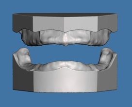 desdentado escanear modelo maxilar mandibular dental dentista dentadura completa dientes diente boca cepillo ciencias cuidado biología 3d print model - Mito3D
