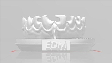edm dental prática exclusivo modelo classe 3 4 dentista esmalte dentes dente odontologia anterior composto molar dentição boca cúspide canino incisivo anatomia ciência 3d print model - Mito3D