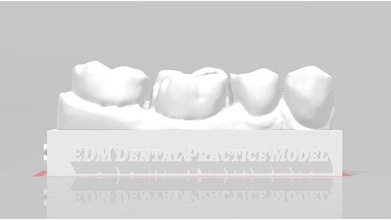 edm dental practice standard model class 2 dentist enamel teeth tooth dentistry anterior composite molar dentition mouth cuspid canine incisive anatomy science 3d print model - Mito3D