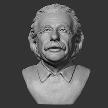 einstein 3d Stampa modello carattere umano testa ritratto fallimento figura uomo viso statua scultura arte sculture 3d print model - Mito3D
