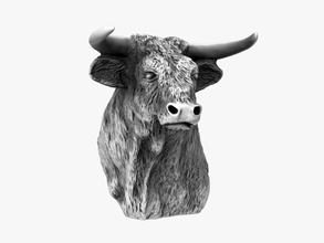 el toro - bull statue spain memorabilia travel souvenir cow corrida toreador circus printable print art sculptures animal diy 3dprint wild 3d print model - Mito3D