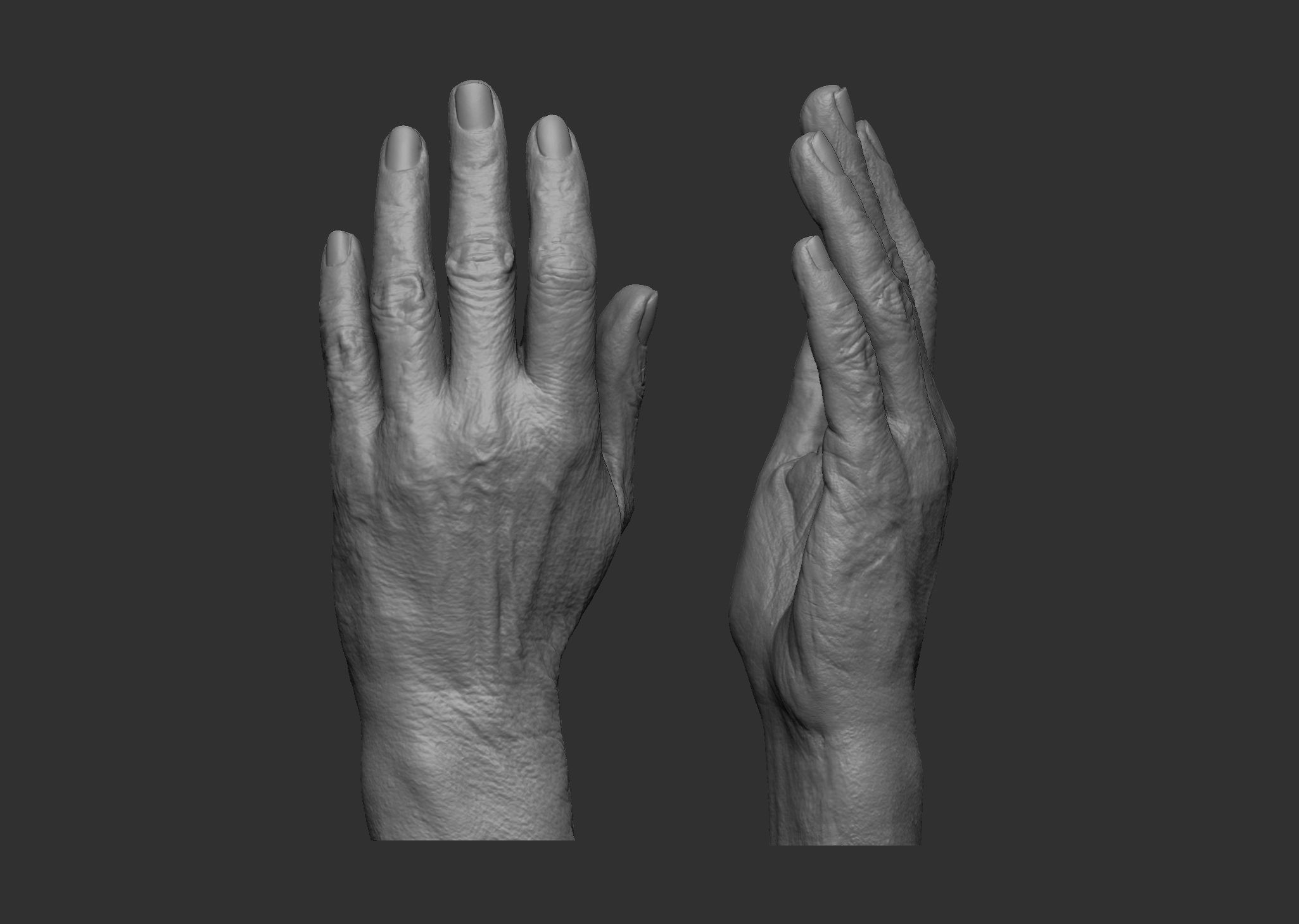 elderly female hand anatomy finger human wrinkle old nail body extremities hands art scans replicas 3D print model - Mito3D