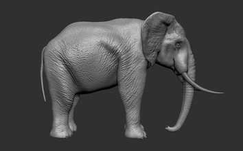 elefante 3dprint Stampa 3d iperrealistico realistico 3dprintmodel modello natura giungla Africa foresta stampabile statua scultura scienza biologia 3d print model - Mito3D