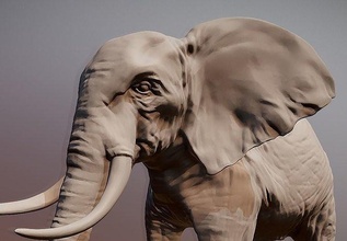 elefante 3d stampabile scansione Stampa vero animale 3dscan Giochi giocattoli 3d print model - Mito3D