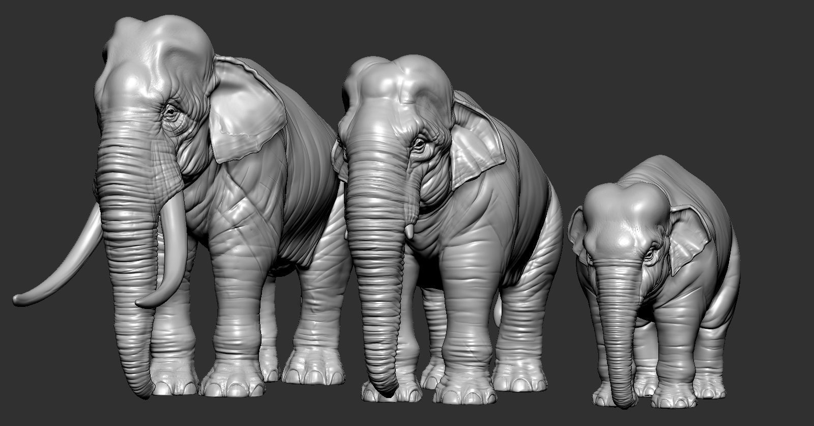 elephant asian animal mammal realistic texture animals sculpture art sculptures statue tusk nature trunk 3D print model - Mito3D