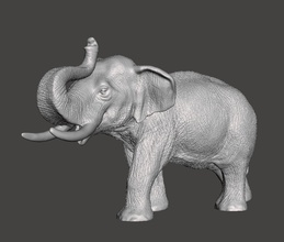 l'éléphant asiatique nature afrique zoo africain jungle savane mammifère art sculptures 3d print model - Mito3D