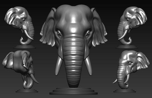 elefante asiática fracasso montado recheado bode prateleira cabeça comitiva decoração escultura interior mofo irreal unidade animais selvagens natureza troféu chifre arte esculturas 3d print model - Mito3D