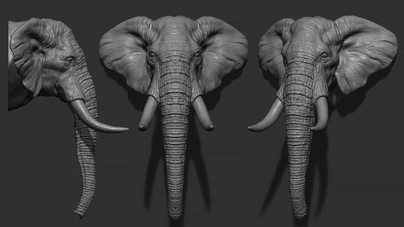 l'éléphant tête défenses animal miniatures figurines cnc animaux nature statue sculptures 3dprinting art 3d print model - Mito3D