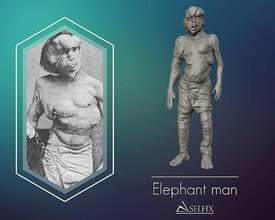 elephant man sculpture art statue body elephantman sculptures 3d print model - Mito3D