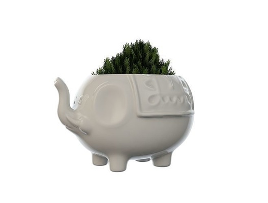 elefante florero planta maceta 3dprinter decoración casa accesorios 3d print model - Mito3D