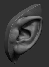 elf ear printable art characters people human man male anatomy zbrush ztl stl obj 3dprint sculptures 3d print model - Mito3D