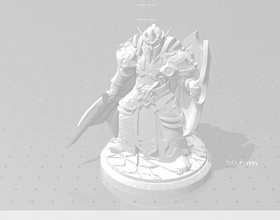 elf paladin 3d print figurine armor warrior armour warcraft fantasy fictional creature crusader military person statue games toys amored sculpture printable knight 3d print model - Mito3D