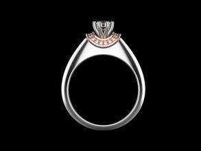 eng016 engagement ring 015ct 025ct 035ct center stones jewellery jewelry printable jewel diamond gold brilliant fashion gem beauty wedding brillant diamant rings 3d print model - Mito3D