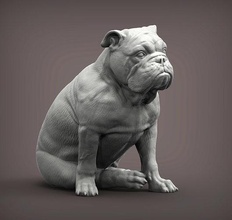 inglés buldog británico bulldog perro naturaleza mamífero animal hogar casa mascota escultura recuerdo 3d impresión modelo esculpir esculturas estatua arte 3d print model - Mito3D