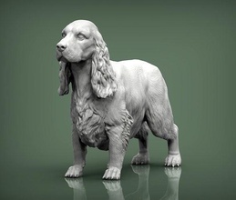 english cocker spaniel dog nature mammal animal pet sculpture statuette souvenir 3d print model sculpt art sculptures statue 3d print model - Mito3D