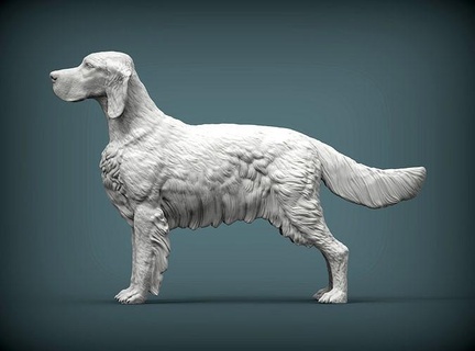 Inglés setter perro naturaleza mamífero animal mascota escultura estatuilla recuerdo presente 3d impresión modelo Arte esculturas estatua imprimible 3d print model - Mito3D
