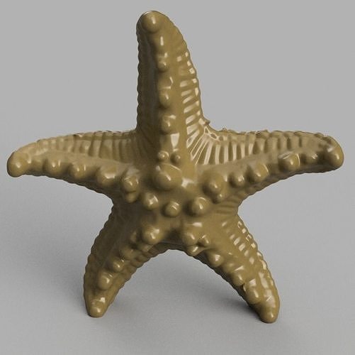étoile mer océan poisson corail baleine requin plage maison décor 3D print model - Mito3D