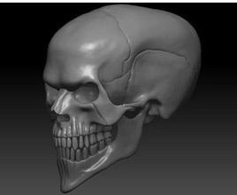 evil skull 3d print art frame head image horror human anatomy bone sculptures 3d print model - Mito3D