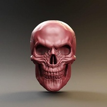 crânio humano Ciência cabeça anatomia esqueleto osso morto dentes morte dente corpo Horror Bruxas zbrush realista lápide estátua ossos arte esculturas 3d print model - Mito3D