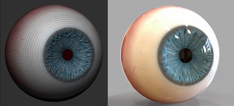 globo ocular modelo de brinquedos jogos-brinquedos o humanos retina olho 3d impressão a arte aluno jogos 3d print model - Mito3D