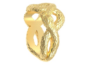 ojal de la serpiente colgante 3d listo para imprimir los reptiles espiral el coulomb moda naturaleza art joyería oro plata escultura imprimible joya collares ficha colgantes 3d print model - Mito3D
