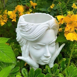 cara cabeza flor maceta creativo forma seco florero 3d planta imprimible escultural cuerpo decoración impreso mano suculento plantador casa 3d print model - Mito3D