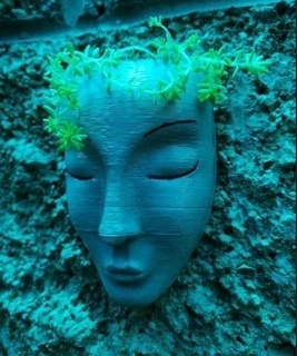 cara plantador maceta flor Panela planta mulher rosto Cabeza cabeça hogar plantas casa ar livre 3d print model - Mito3D