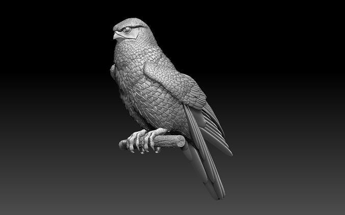 falcon bird eagle hawk print statue sculpture art sculptures 3D print model - Mito3D