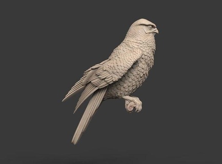 faucon cacatoès oiseau Aigle impression statue sculpture art sculptures 3d print model - Mito3D