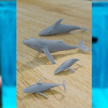 famille baleines l'eau diorama butin miniature table feu camp portail bases épiques chef minibriques fantaisie rpg médiéval lootstudios baleine époxy imprimé dnd minis loisir diy 3d print model - Mito3D