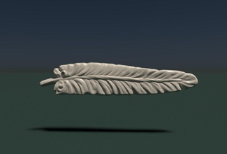 feather 3 art bird anatomy fly nature other 3d print model - Mito3D