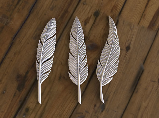 pluma conjunto plumas ala volar naturaleza pájaro alivio bas Arte esculturas impresión 3D print model - Mito3D