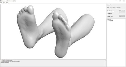 pés stl 3d 3dmodel 3dprint imprimível roupas enxotar sapato moda sapatos 3d print model - Mito3D